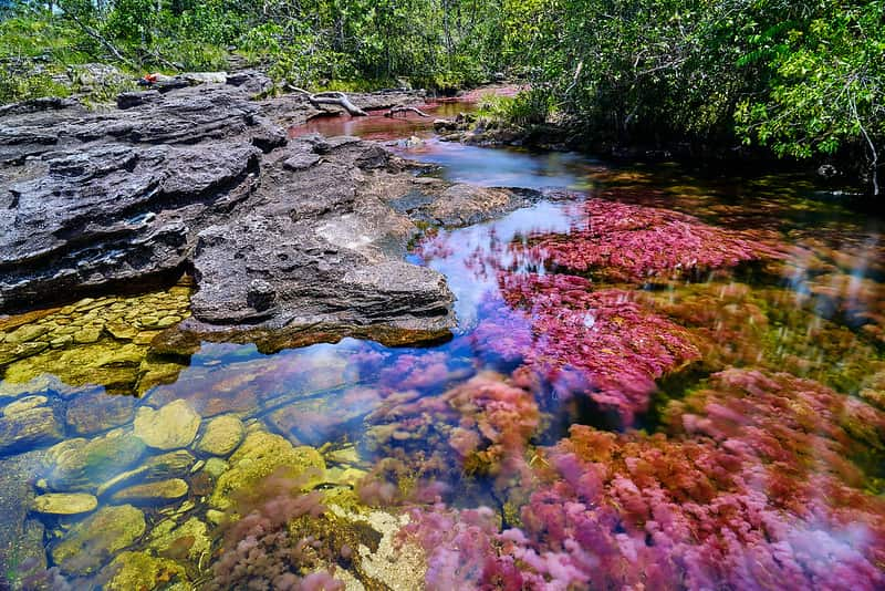 Actividades-Naturales-en-la-amazonia-colombiana