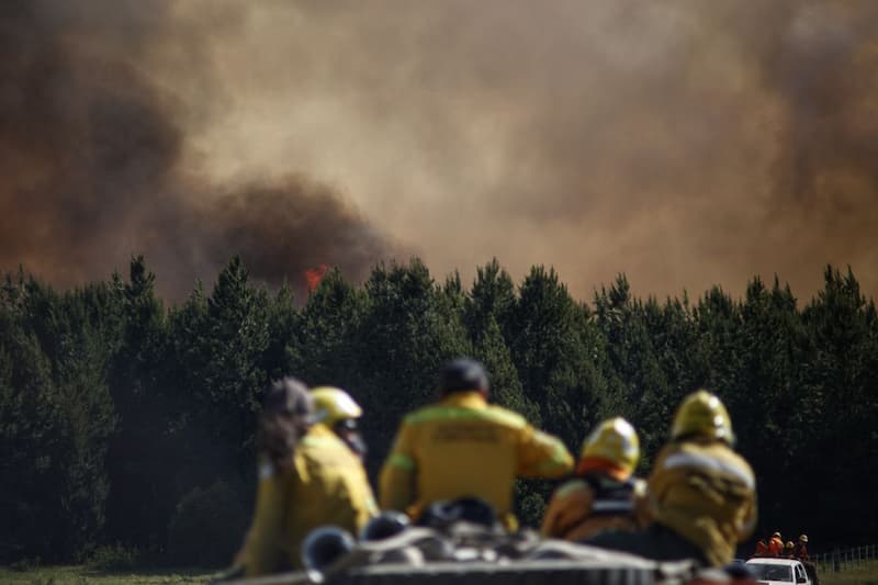 Argentina declara emergencia ígnea - incendios en la Patagonia