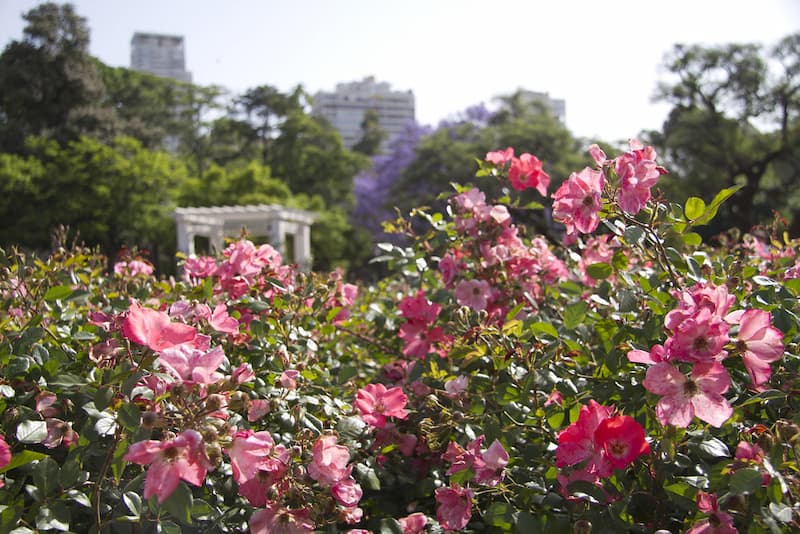 image parques de Buenos Aires 2 El Rosedal