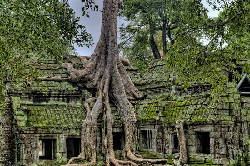 image lugares para visitar en Camboya 3 Battambang