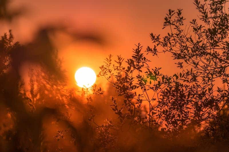 Australia - Récord de temperatura