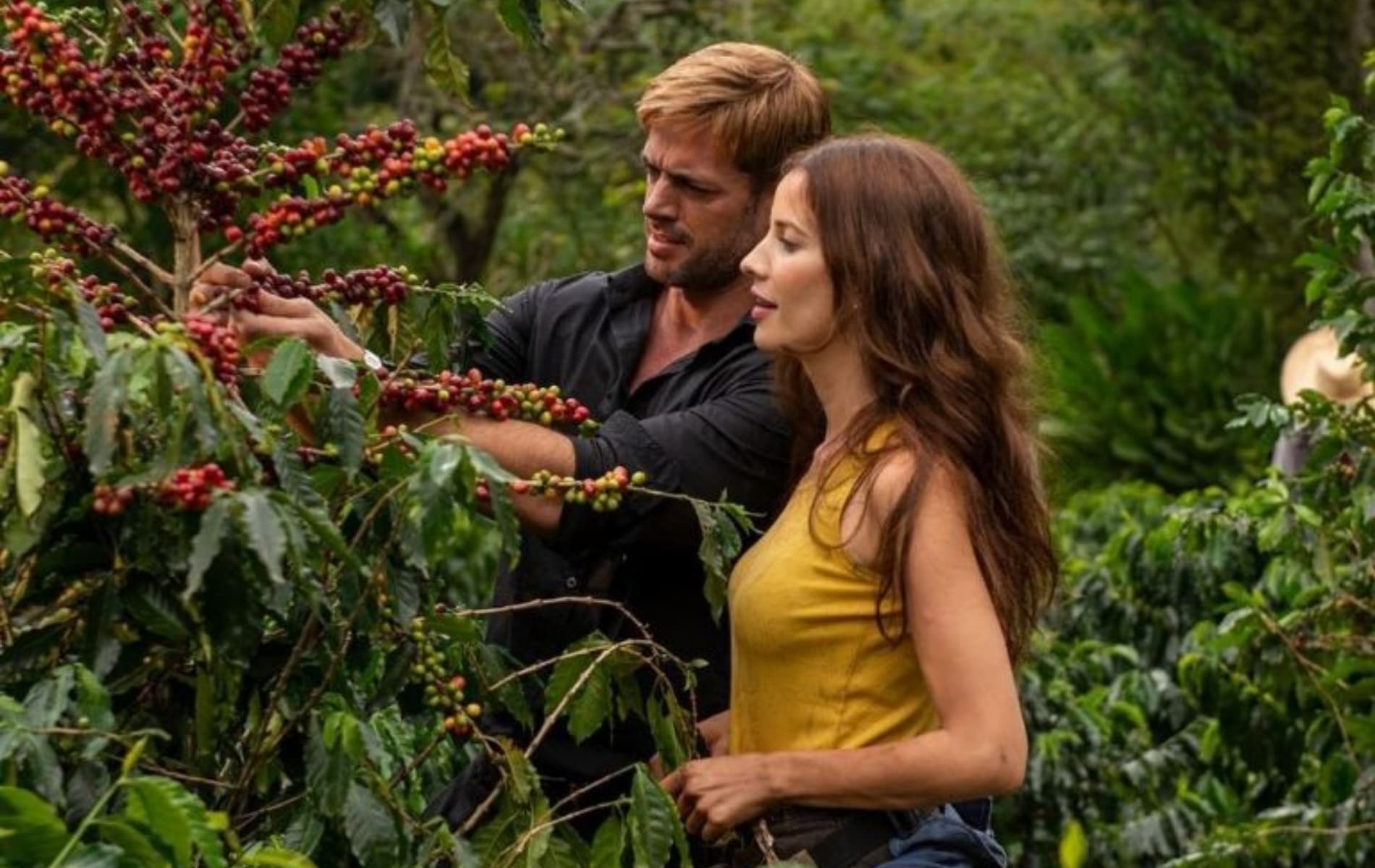 Café-con-aroma-de-mujer-locaciones-netflix-colombia