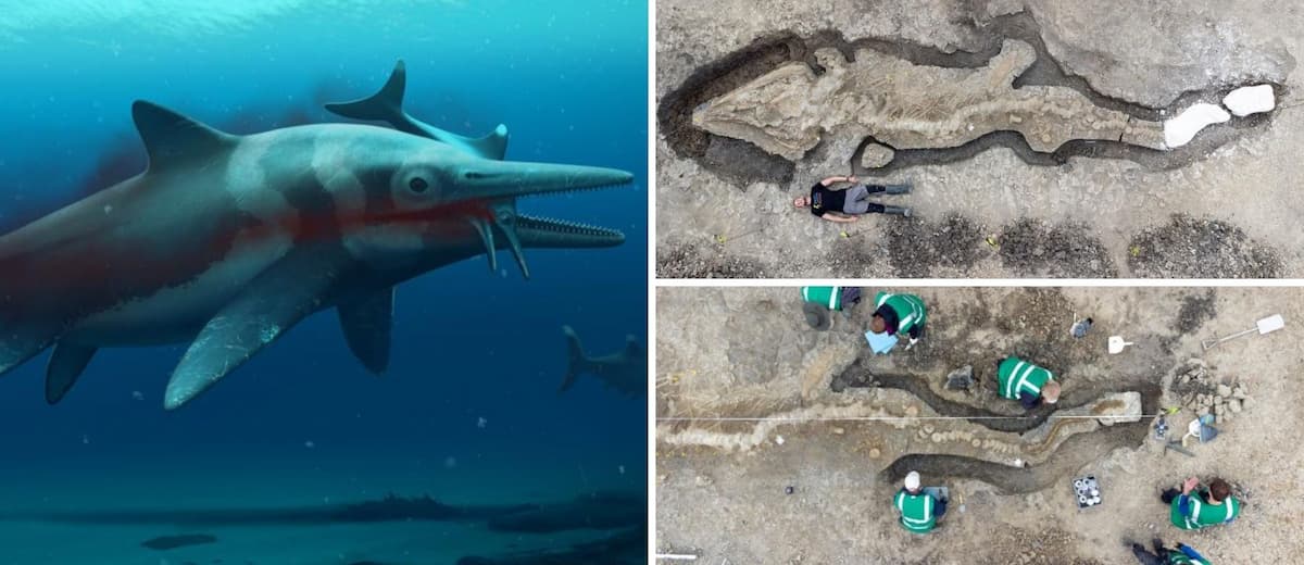 Hallan un fósil gigante de un "dragón marino" que data de hace 180 millones de años