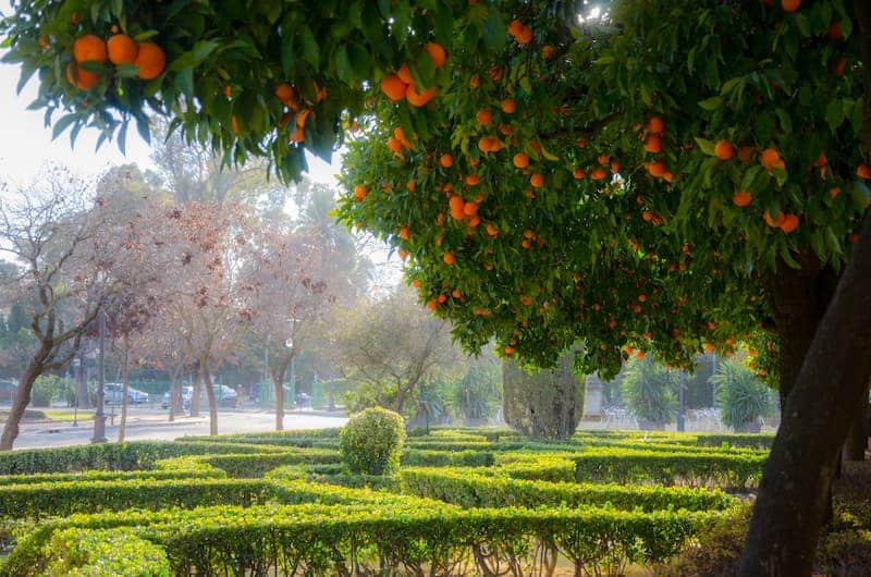 Parque de María Luisa, Sevilla