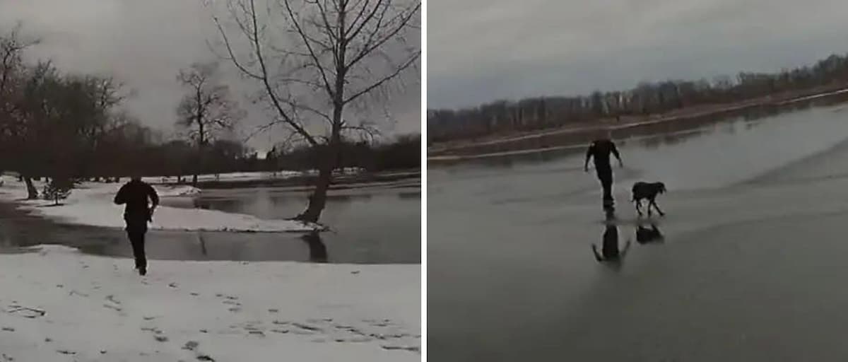 Un policía logró rescatar a un perro que estaba en un lago congelado