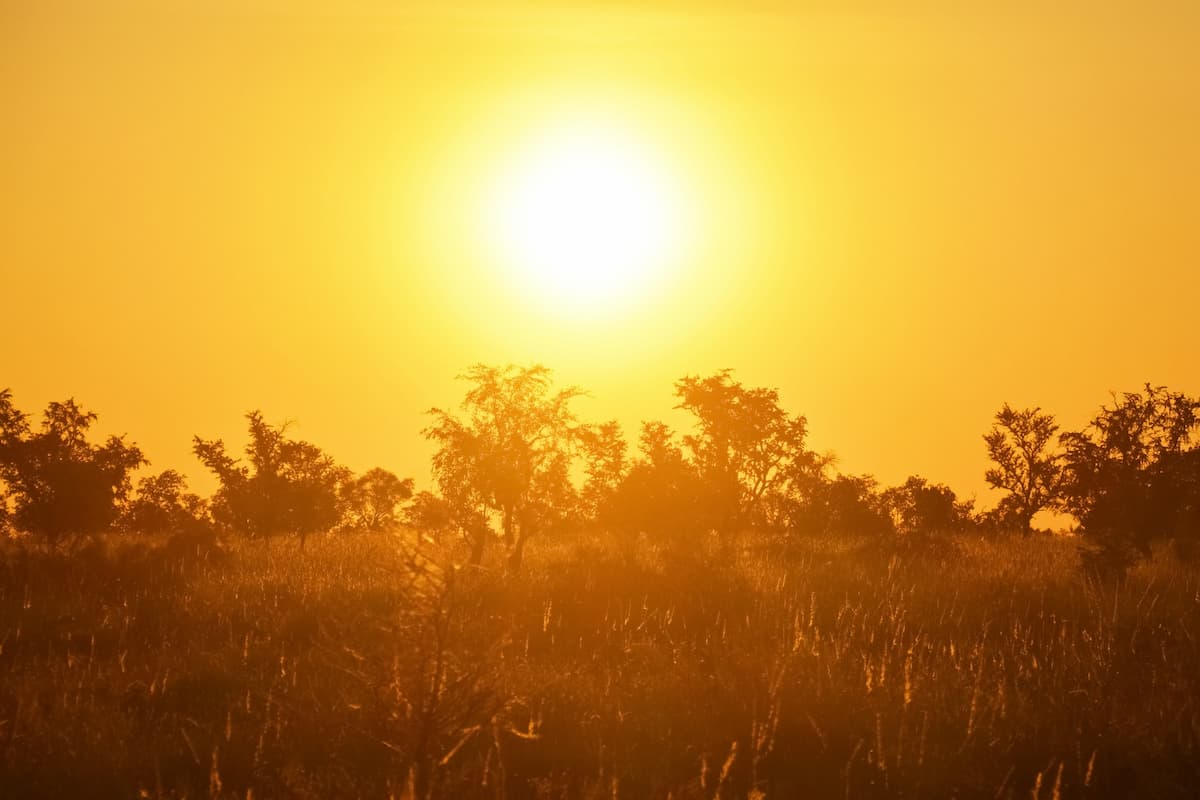 Australia tuvo su día más caluroso de los últimos 50 años, con una temperatura de más de 50° C