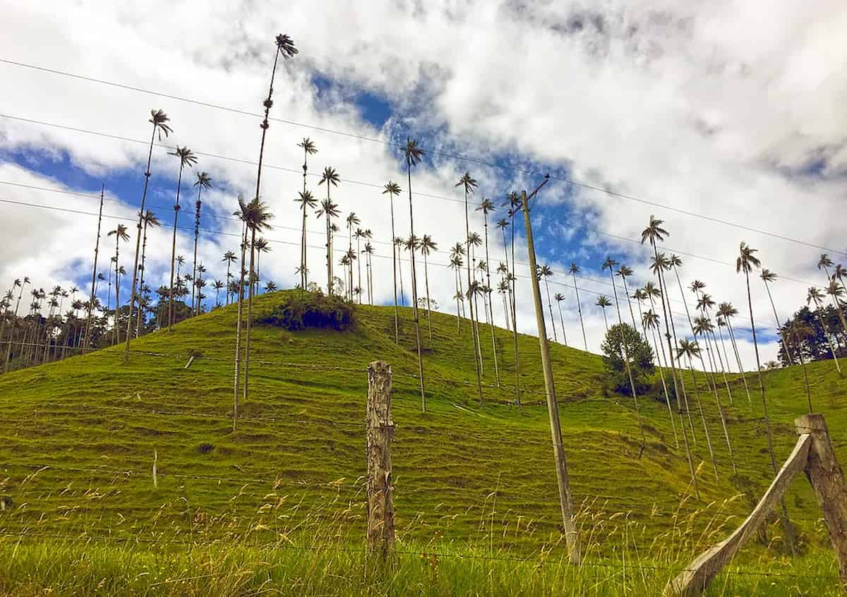 Región-Andes-Occidentales-Colombianos