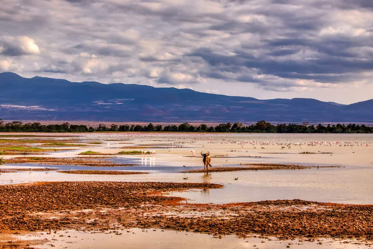 Lugares de Kenia