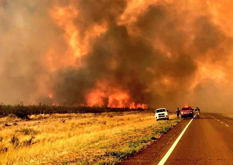 Incendios en Puerto Madryn: El fuego ya arrasó hectáreas que comprenden cuatro veces la ciudad de Buenos Aires