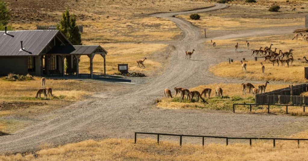 image La Posta de los Toldos la posta de los toldos parque patagonia hospedaje lujo 2