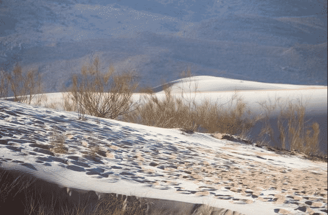 desierto nevada