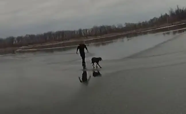 policia Un policía logró rescatar a un perro que estaba en un lago congelado Policía rescata a una perra de un lago congelado