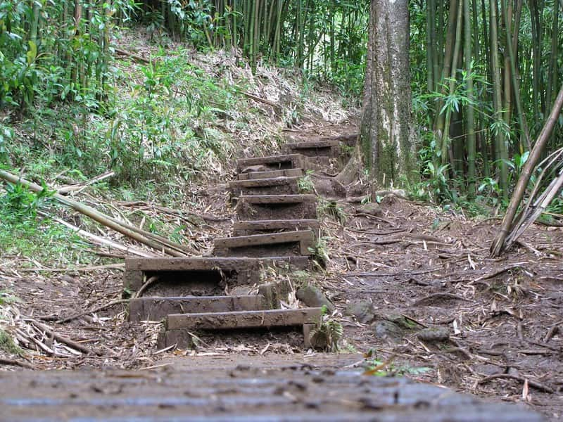 image cosas para hacer en Hawái 2 Sendero de Manoa