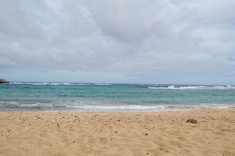 image playas de Hawái 3 Kauai