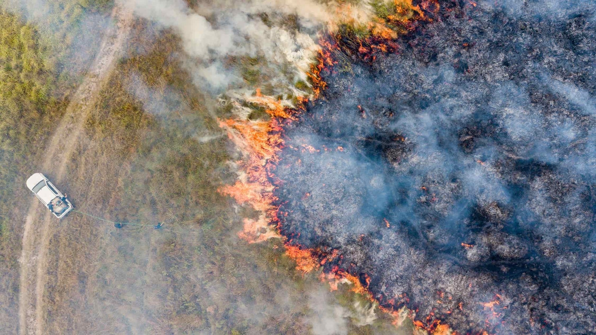 Continúan los incendios en uno de los mayores humedales del mundo con pérdidas incalculables para la biodiversidad