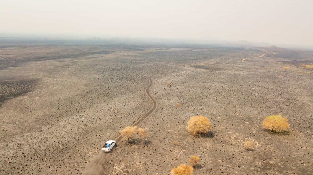 image humedales Incendios Ibera Fundacion Rewilding Argentina 06 1