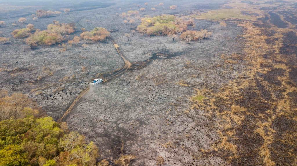 Continúan los incendios en uno de los mayores humedales del mundo con pérdidas incalculables para la biodiversidad