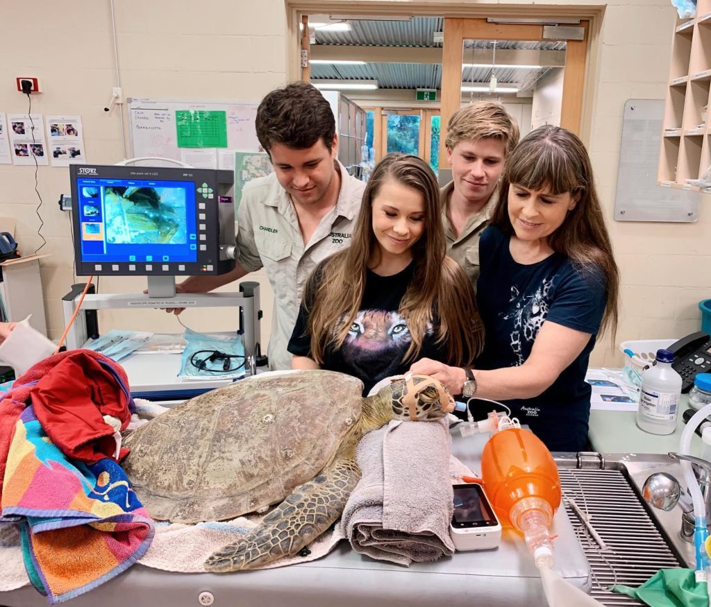 La familia Irwin ha salvado a más de 100.000 animales en el Hospital de Vida Silvestre del Zoológico de Australia