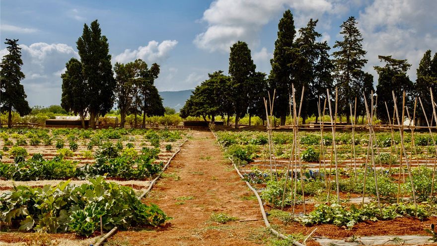 image Calvin Harris terra masia granja ecologica ibiza calvin harris 1