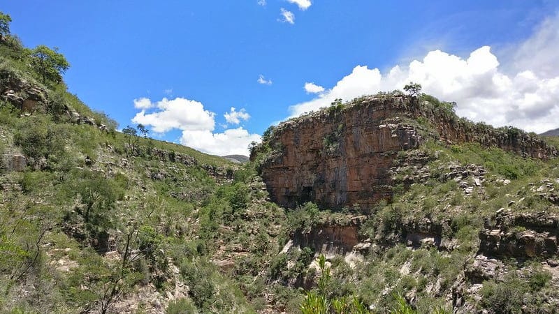 image parques nacionales de bolivia 4 Parque Nacional Totoro