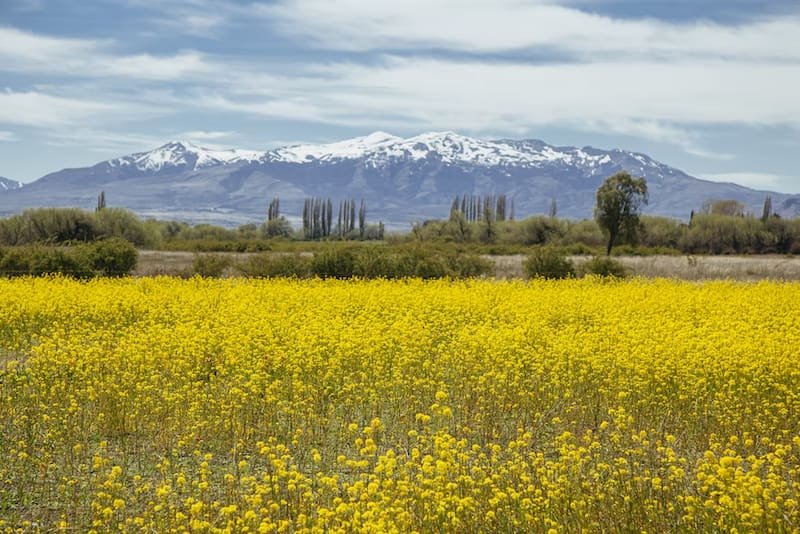 image cosas para hacer en esquel 4 Trevelin