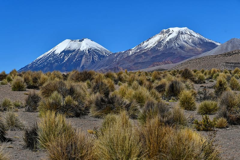 image parques nacionales de bolivia 5 Parque Nacional Sajama