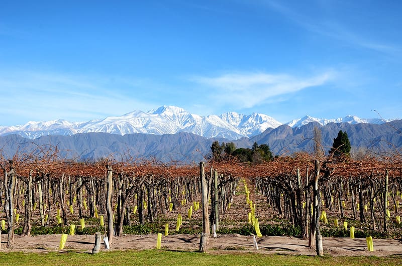 image argentina en otoño 6 Mendoza