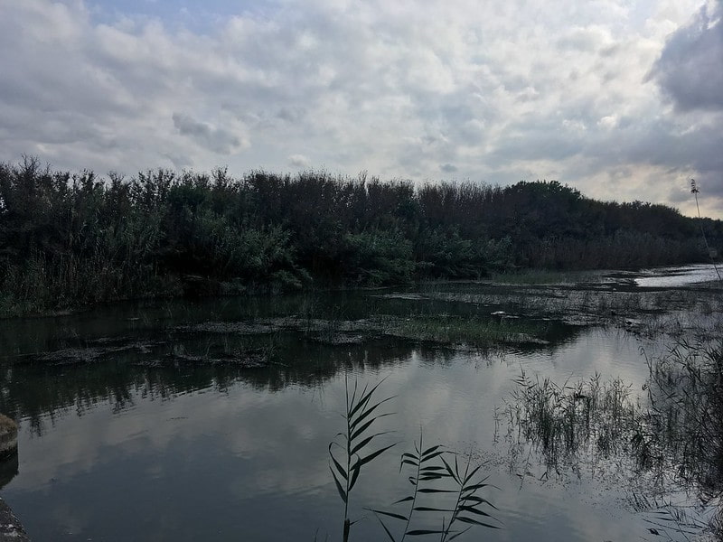 image cosas para hacer en alcudia 7 Parque Natural