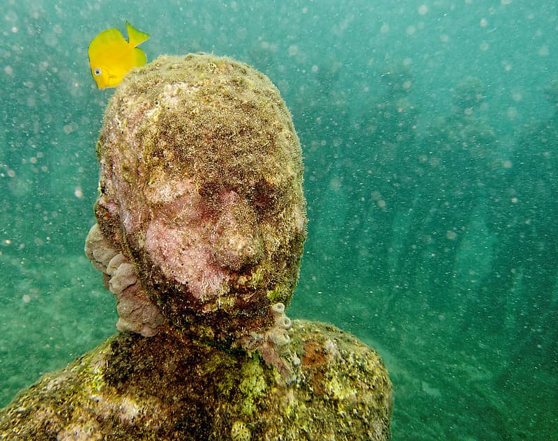 image cosas para hacer en el caribe 8 Granada