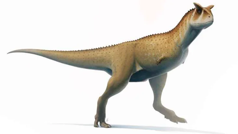 Hallan nueva especie de dinosaurio en Argentina