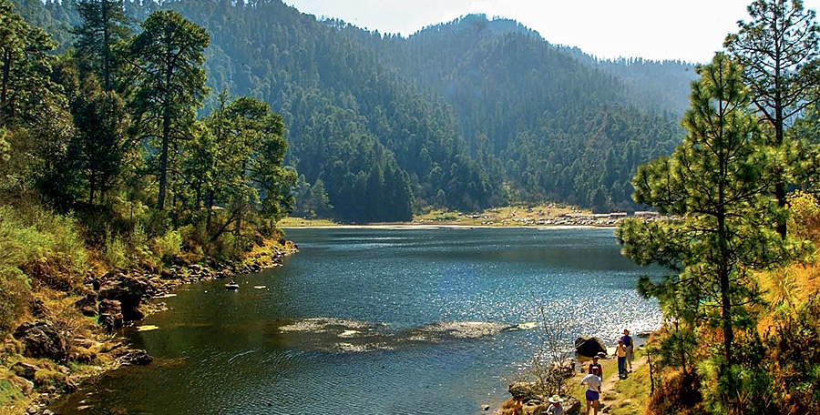 image bosques Parque Nacional Lagunas de Zempoala