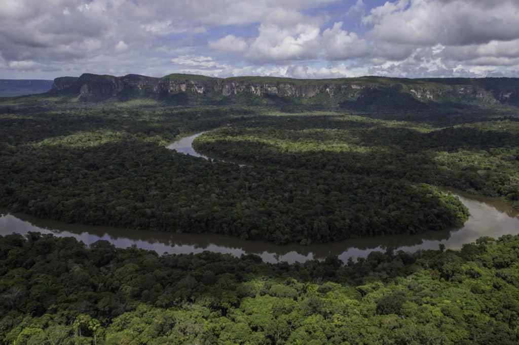 image bosques Parque Nacional Natural Serrania de Chiribiquete