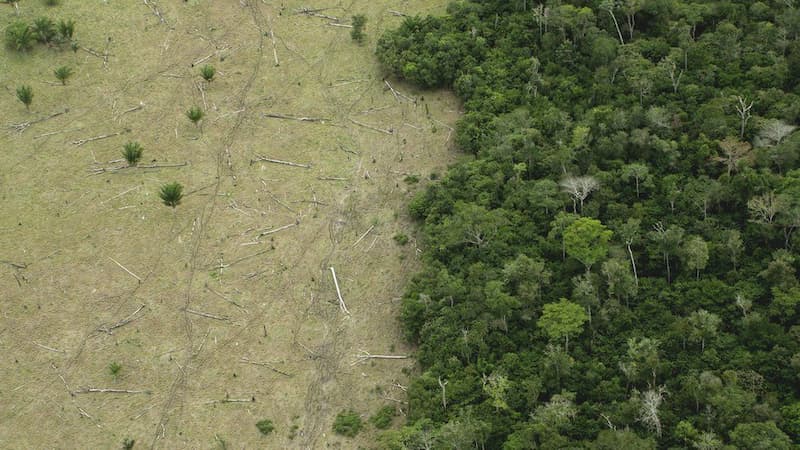 Punto crítico de la selva amazónica