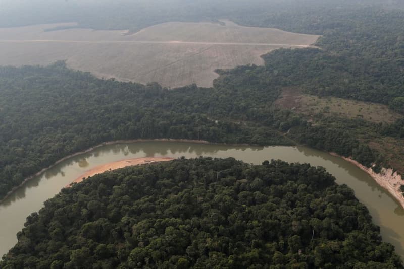 Selva amazónica, punto crítico 