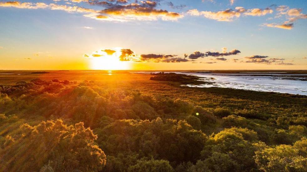 El Parque Nacional Iberá reabrió a visitantes luego de los incendios que destruyeron más de un millón de hectáreas