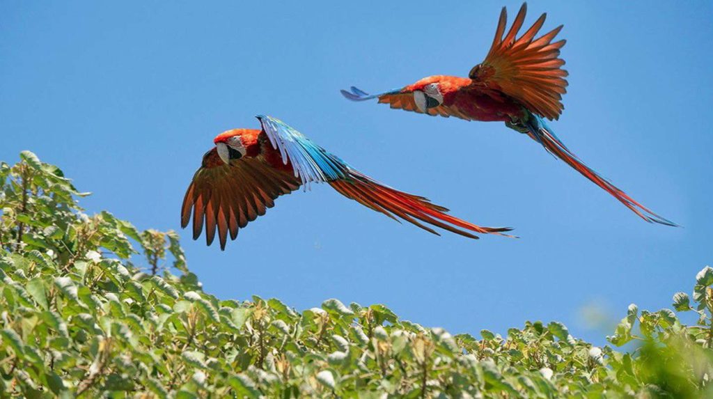 image Parque Nacional Iberá parque nacional ibera reabre al turismo