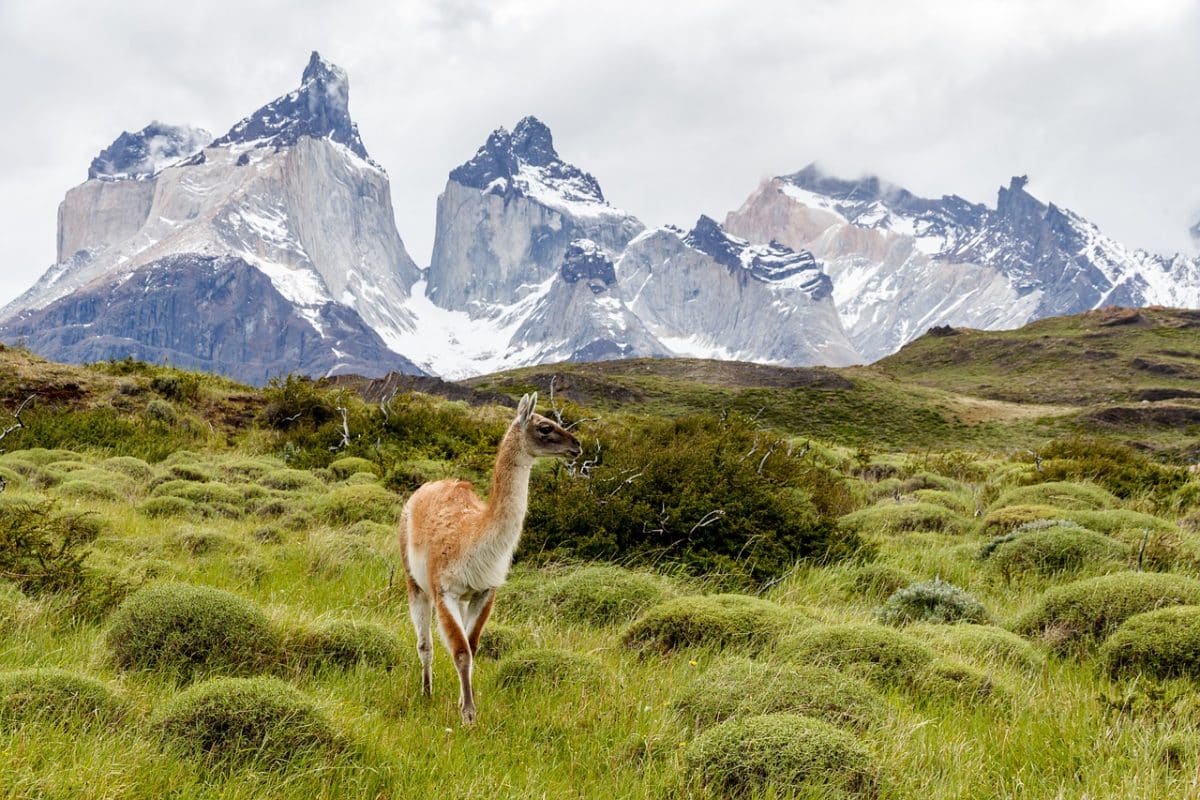 torres-del-paine-2