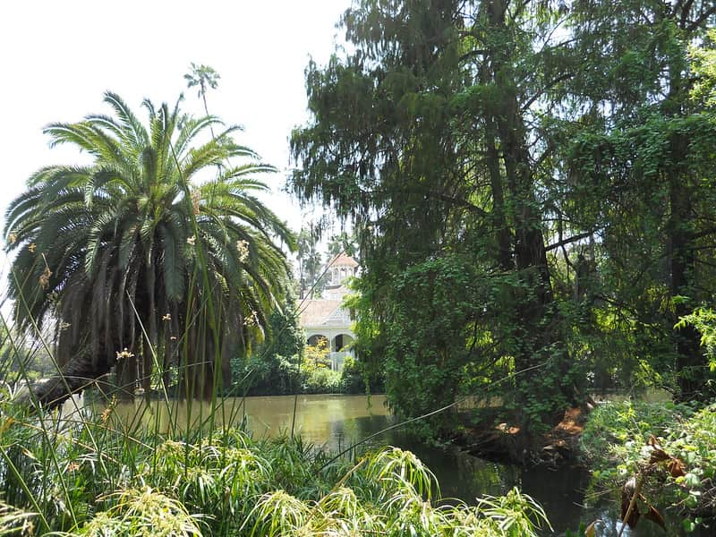 image cosas para hacer en los angeles con niños 2 Arboreto de Los Angeles