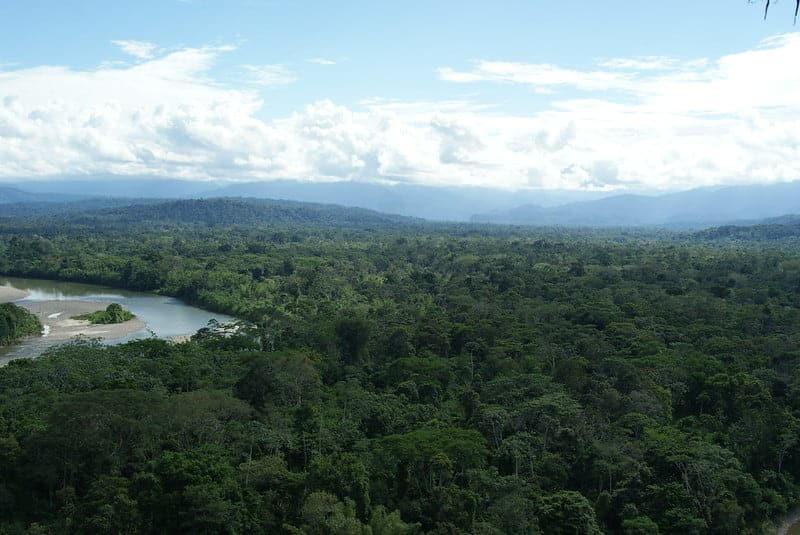 image lugares de ecuador 7 Amazonas