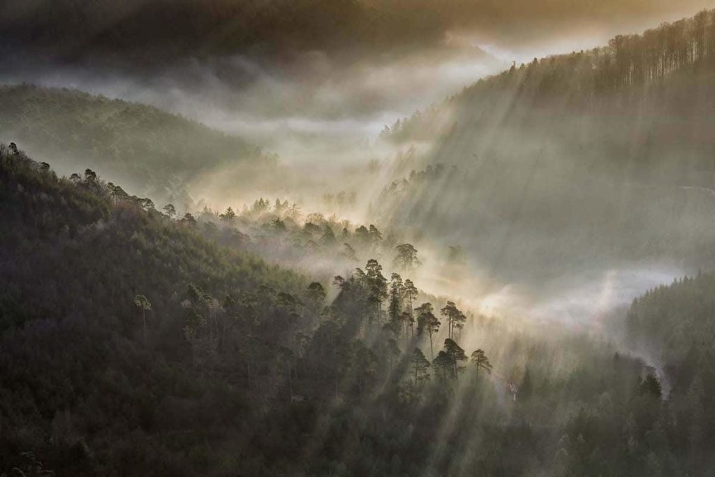 image Nature Photographer of the Year gdt society for nature 9