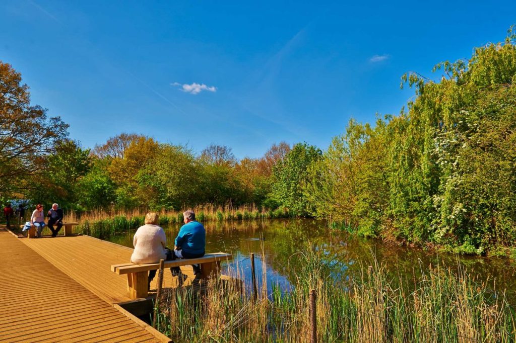 Qué hacer en Londres en primavera: 5 parques imperdibles para disfrutar del aire libre