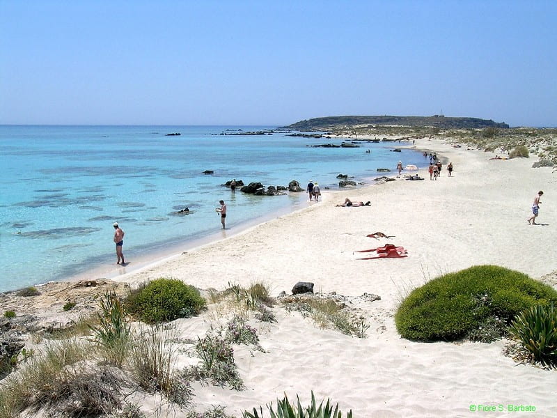 image playas de grecia 3 Playa de Elafonisi