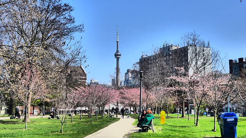 image parques de toronto 3 Trinity Belwoods Park