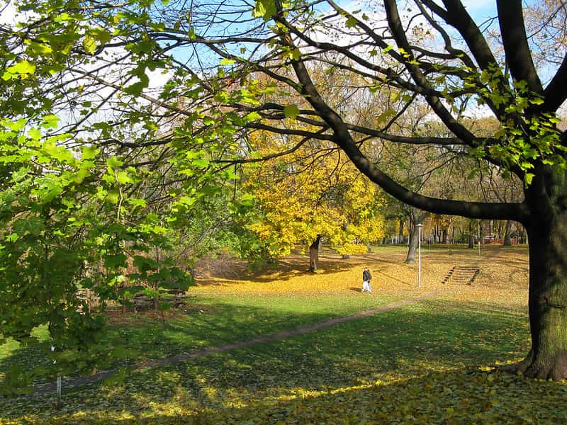 image parques de toronto 4 Dufferin Grove Park