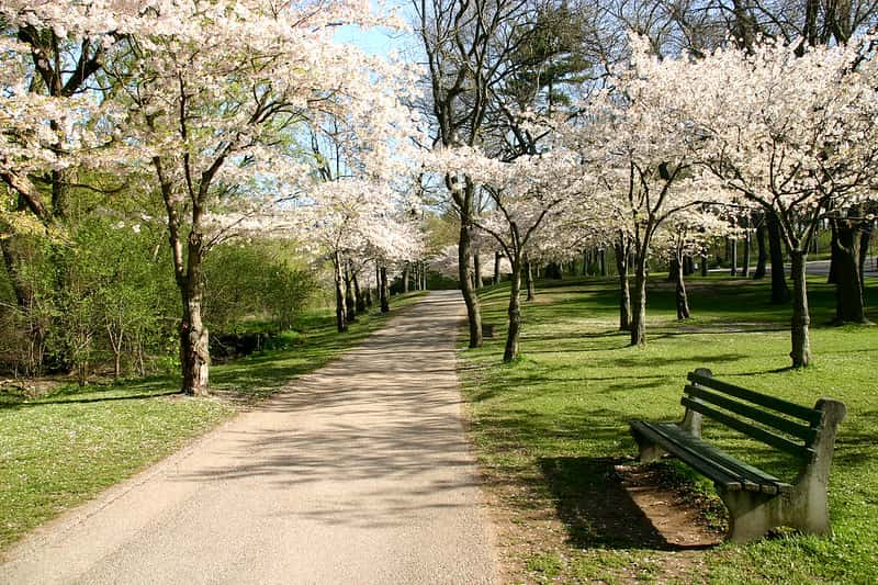 image parques de toronto 5 High Park