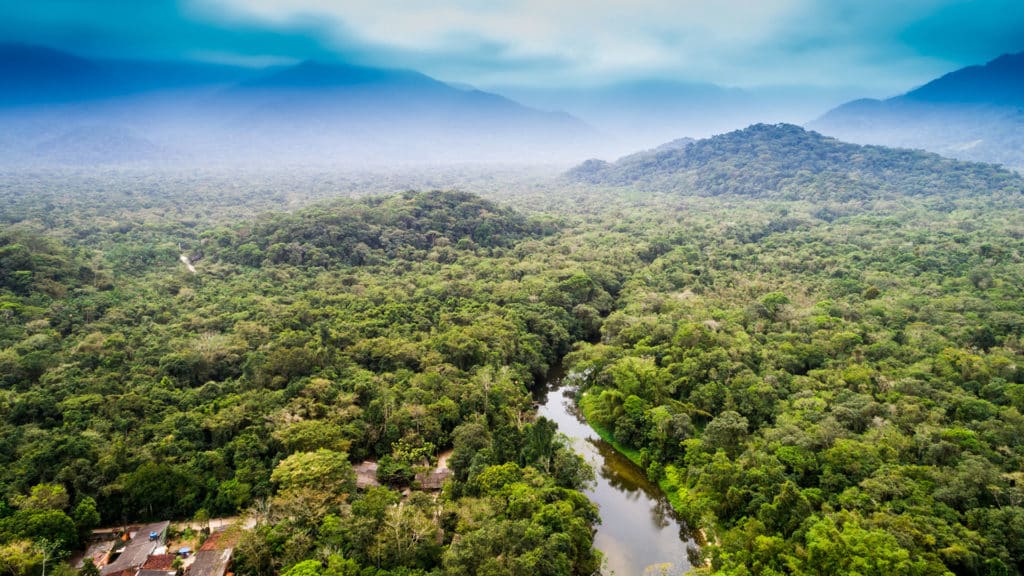 image biodiversidad Brasil 4