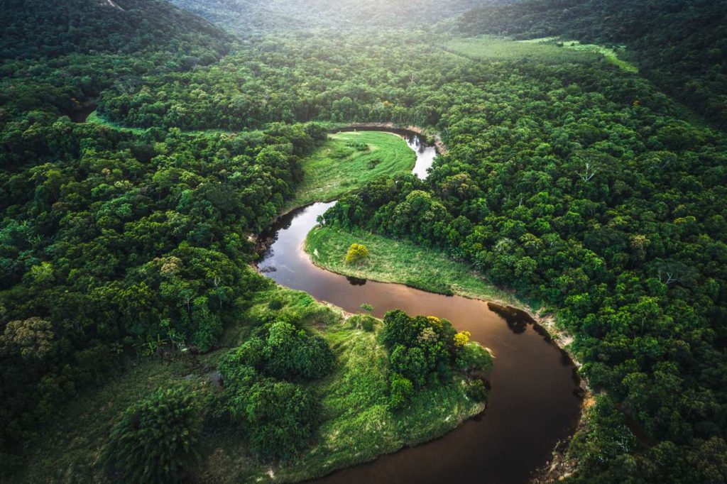 image biodiversidad Brasil 5