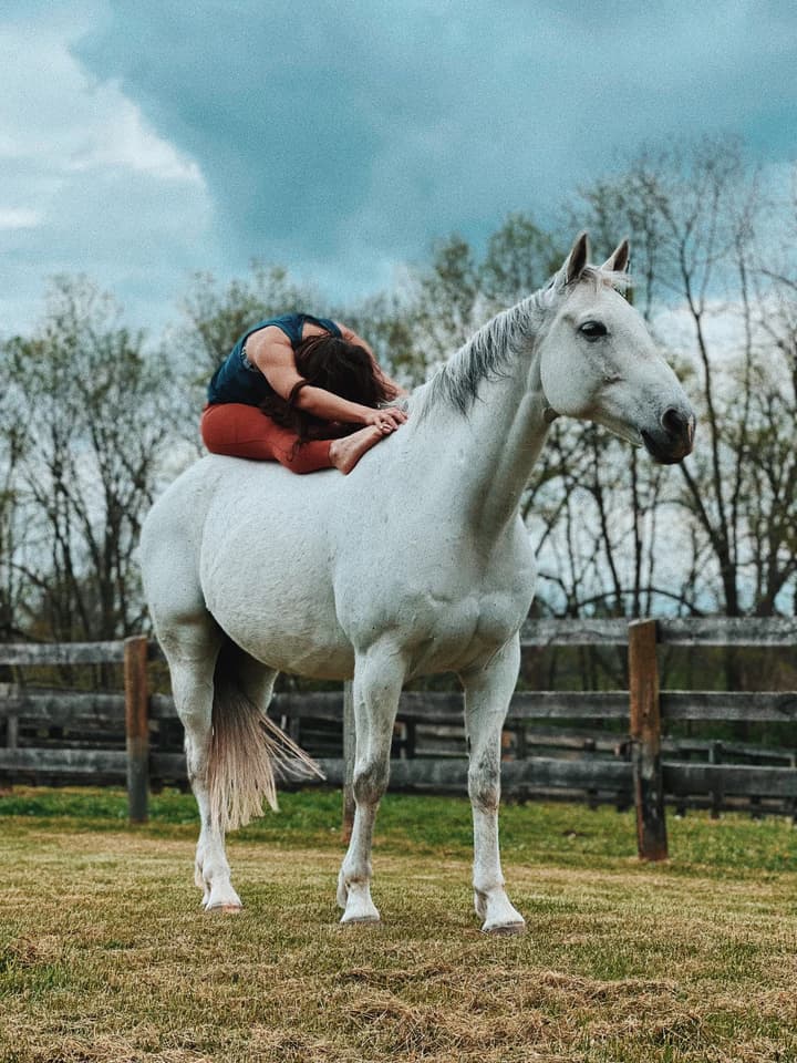 image Horse Yoga Retreat Horse Yoga Retreat conoce como es el primer retiro de yoga con caballos del mundo 3