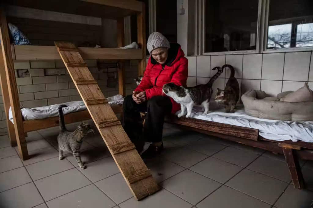 Una mujer ucraniana de 77 años arriesga su vida para cuidar a más de 700 animales en un refugio