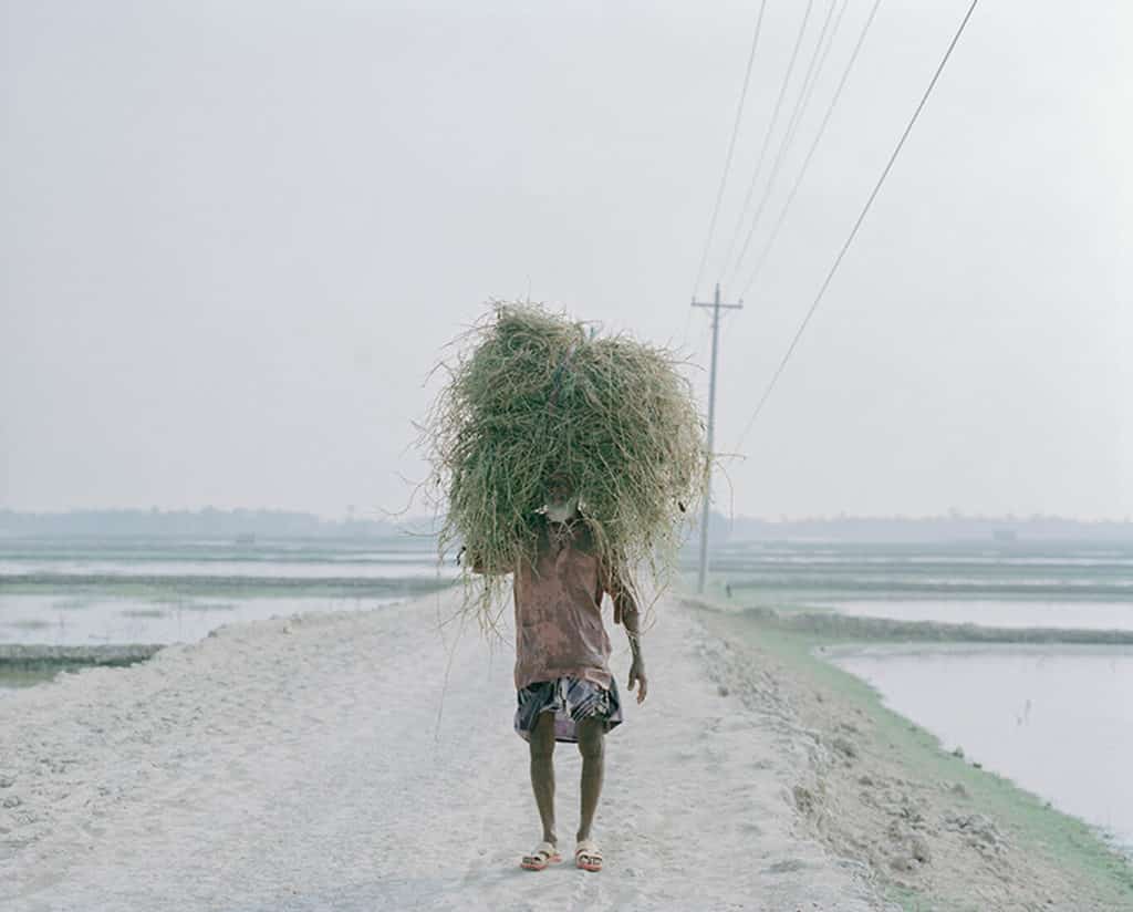 image Sony World Photography Awards 2022 Shunta Kimura Japan Winner Professional Environment 2022 Sony World Photography Awards